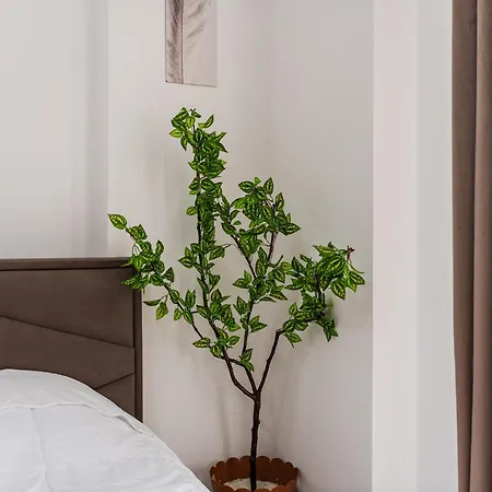 Апартаменты Ef Sunshine 3 Bedrooms Full Sea View Дуррес