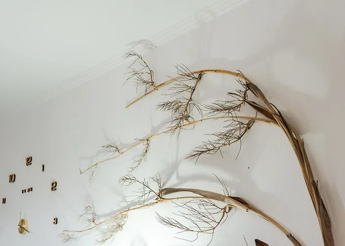 Ef Sunshine 3 Bedrooms Full Sea View